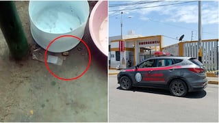 Chincha: ataque criminal en bodega deja a una joven herida de bala en Pueblo Nuevo