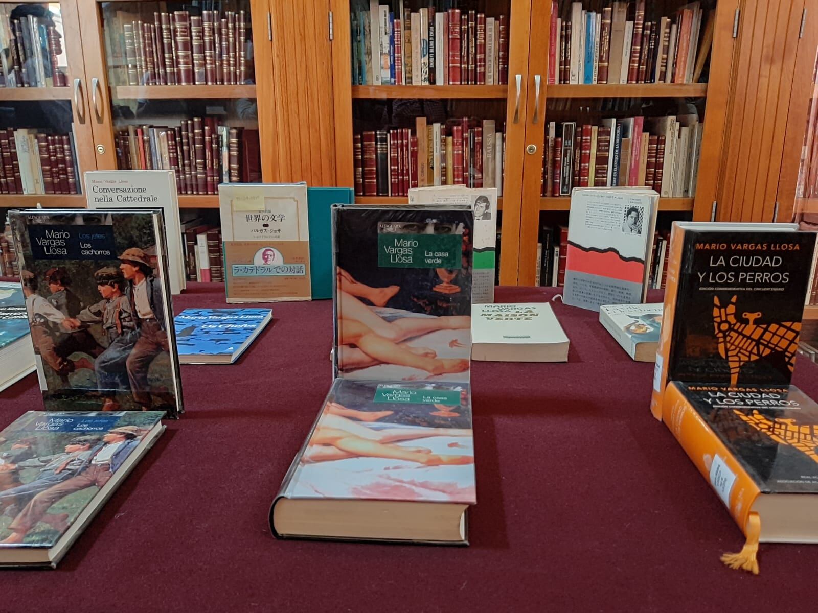 Los ejemplares se encuentran en la biblioteca regional de Arequipa (Foto: GEC)