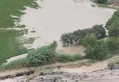 Inundación de cultivos de arroz en Quilca por ingreso del río (VIDEO)