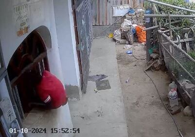 Cámara de seguridad grabó cuando el niño incursionó por la ventana de la casa. Propietaria dice que en ese momento estuvo bañando a sus perros, pues de lo contrario los canes hubieran atacado al pequeño y ella estaría en problemas