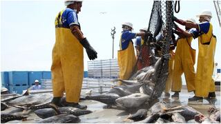 SNI y pesqueros saludan decisión de Produce de revisar norma que regula desembarque de atún