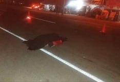 Enterró a su esposa y horas después murió atropellado en la vía Arequipa-Puno