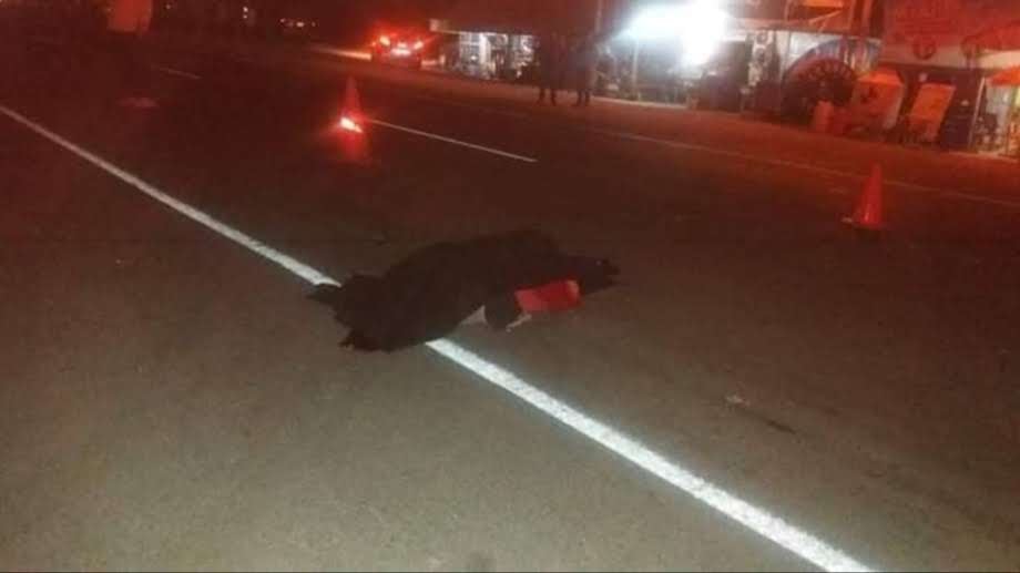 Conductor del vehículo que causó la muerte de Eleuterio Lázaro Sana se dio a la fuga (Foto: GEC archivo)