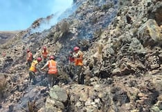 Puno: Incendios forestales dejan dos fallecidos y más de una veintena de heridos