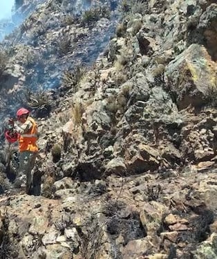 Puno: Incendios forestales dejan dos fallecidos y más de una veintena de heridos