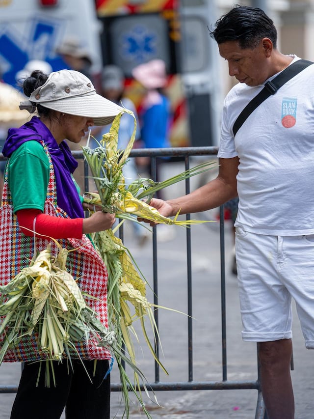 Domingo de Ramos: fieles y el Cristo Cholo recorren la Catedral y Plaza de Armas de Lima. (Fotos: Paloma del Solar/GEC)