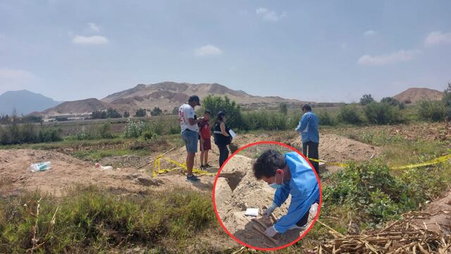 La Libertad: Encuentran restos de menor de edad enterrados en campo de cultivo 