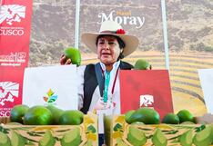 Cusco exportará palta Hass a Costa Rica por primera vez (FOTOS)