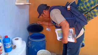 Chincha: retoman acciones de control larvario para enfrentar al vector del dengue