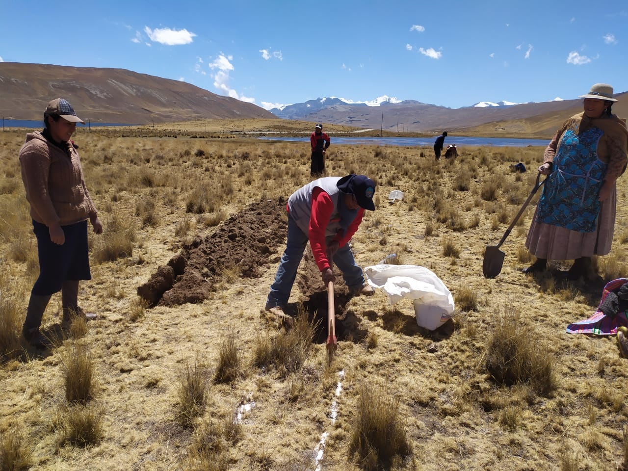 más de mil hectáreas de recuperación y manejo de praderas benefician a agricultores