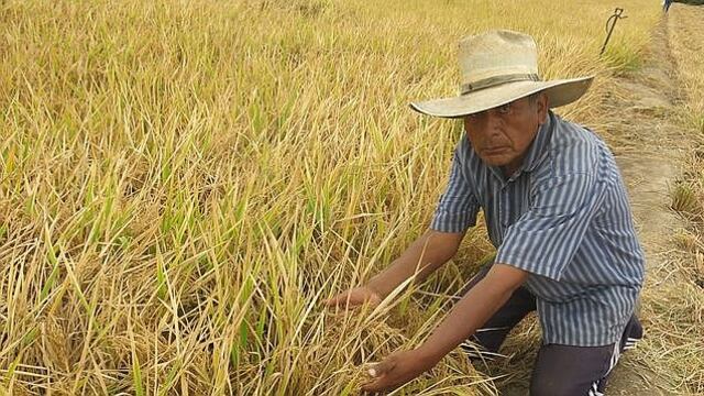 Agricultores de Arequipa están en contra del “fertibono” del Ministerio de Desarrollo Agrario