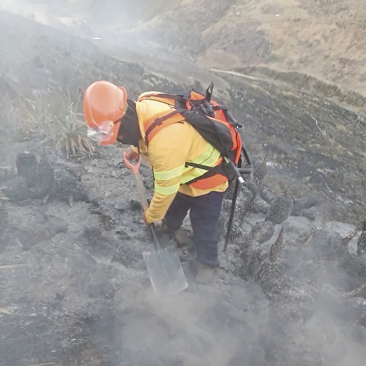 Según el portal Prensa Total, el lugar del siniestro es zona de amortiguamiento del referido santuario.