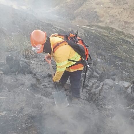 La Libertad: Incendio forestal causa alarma en Santuario Nacional de Calipuy