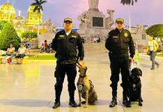 Akira y Black: los guardianes de la Plaza de Armas de Trujillo