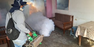La enfermedad está circulando activamente en dicha comunidad y enciende las alarmas de las autoridades.