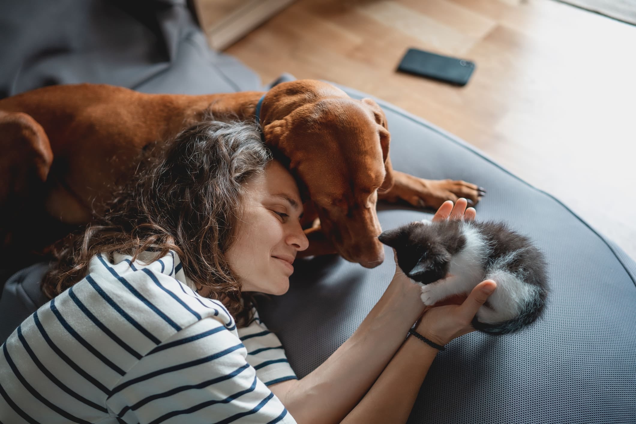 Vacunación, control de parásitos y evaluaciones veterinarias forman parte del cuidado preventivo de perros y gatos. Los costos varían según la edad, especie, peso, estilo de vida y establecimiento veterinario.