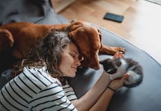 Día Mundial contra la Rabia: vacunas y controles que necesitan perros y gatos
