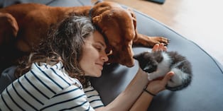 Vacunación, control de parásitos y evaluaciones veterinarias forman parte del cuidado preventivo de perros y gatos. Los costos varían según la edad, especie, peso, estilo de vida y establecimiento veterinario.