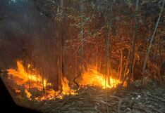 La Libertad: Fallece adulto mayor intentando apagar incendio forestal en Huamachuco