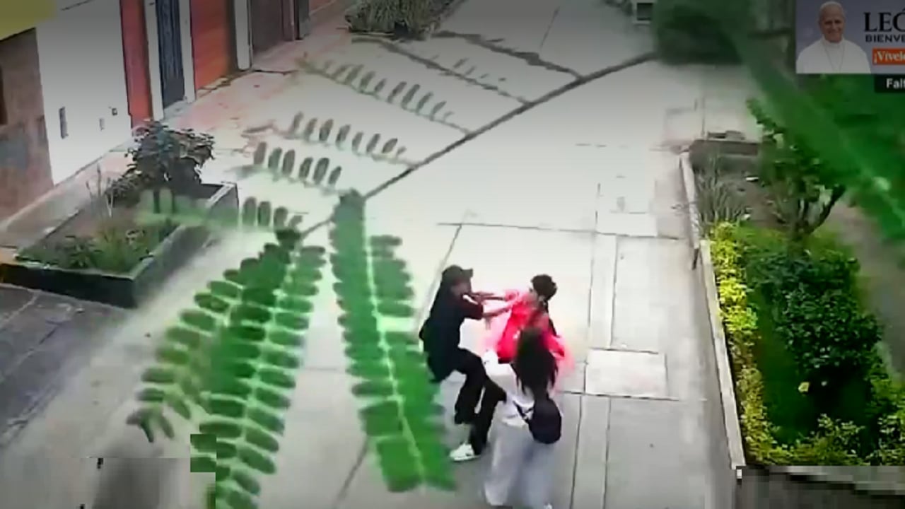 Vecinos frustran robo y retienen a presunto delincuente en San Juan de Miraflores. (Foto: Captura América Noticias)