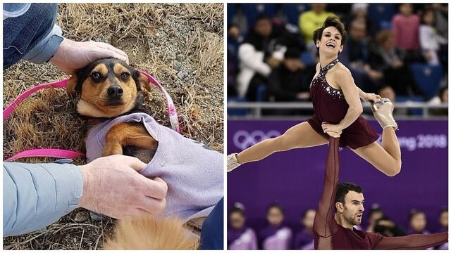 Patinadora olímpica adopta perro que iba a ser consumido en restaurante (FOTOS)