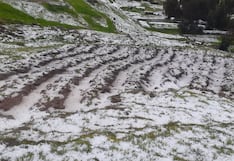 Huancayo: 159 hectáreas de cultivos afectados por la granizada