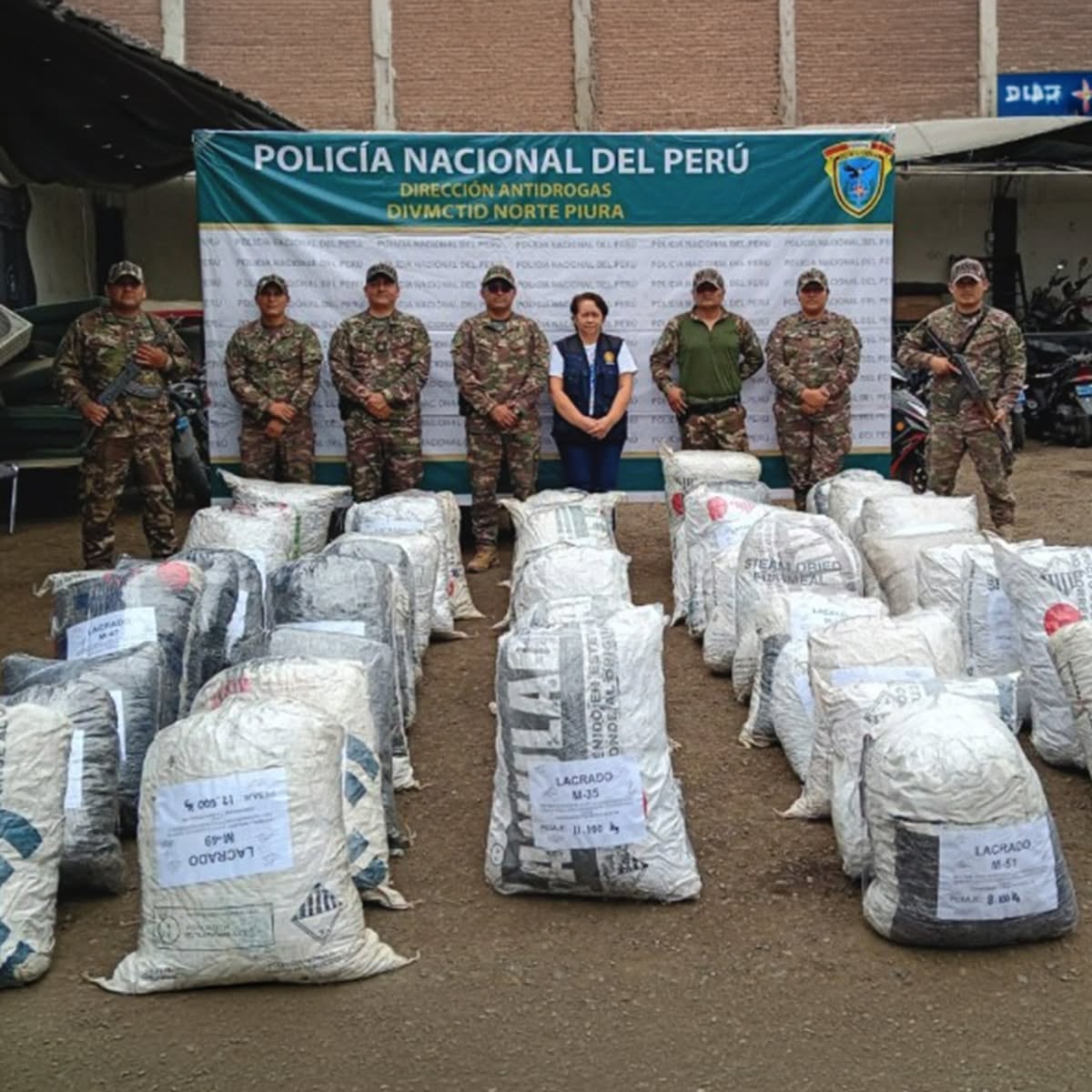 La Libertad: Policía destruye 48 mil plantones e incauta cerca de 800 kilos de marihuana
