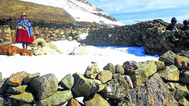 Ayacucho: 2 mil personas son afectadas deja heladas