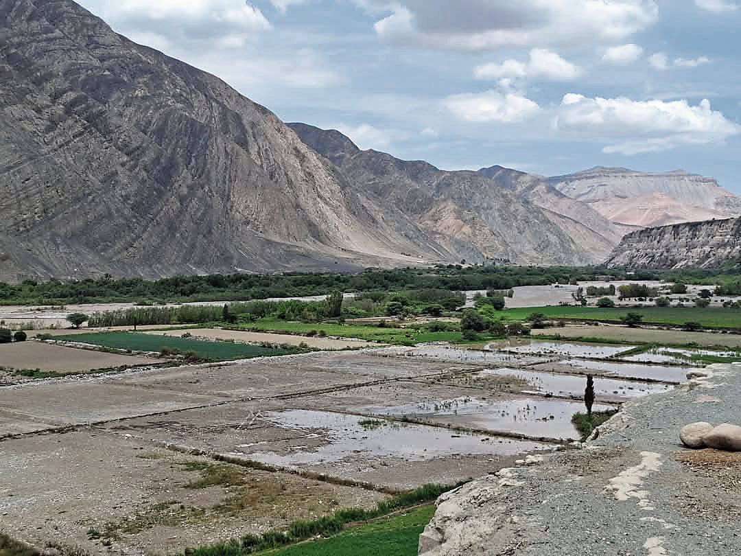 Río Majes afectó cultivos de agricultores de Arequipa. Foto: GEC.