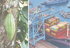 Los versus del cacao