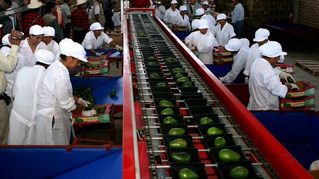 Cambios tributarios en el nuevo régimen agrario deben hacerse de manera escalonada