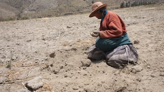 Junín: 100 mil productores fueron afectados debido al estrés hídrico