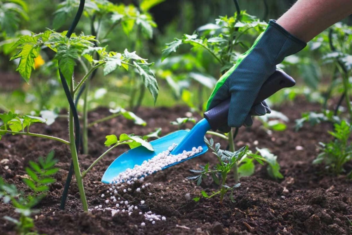 Importación de fertilizantes son los principales bienes intermedio que se importa para el agro.