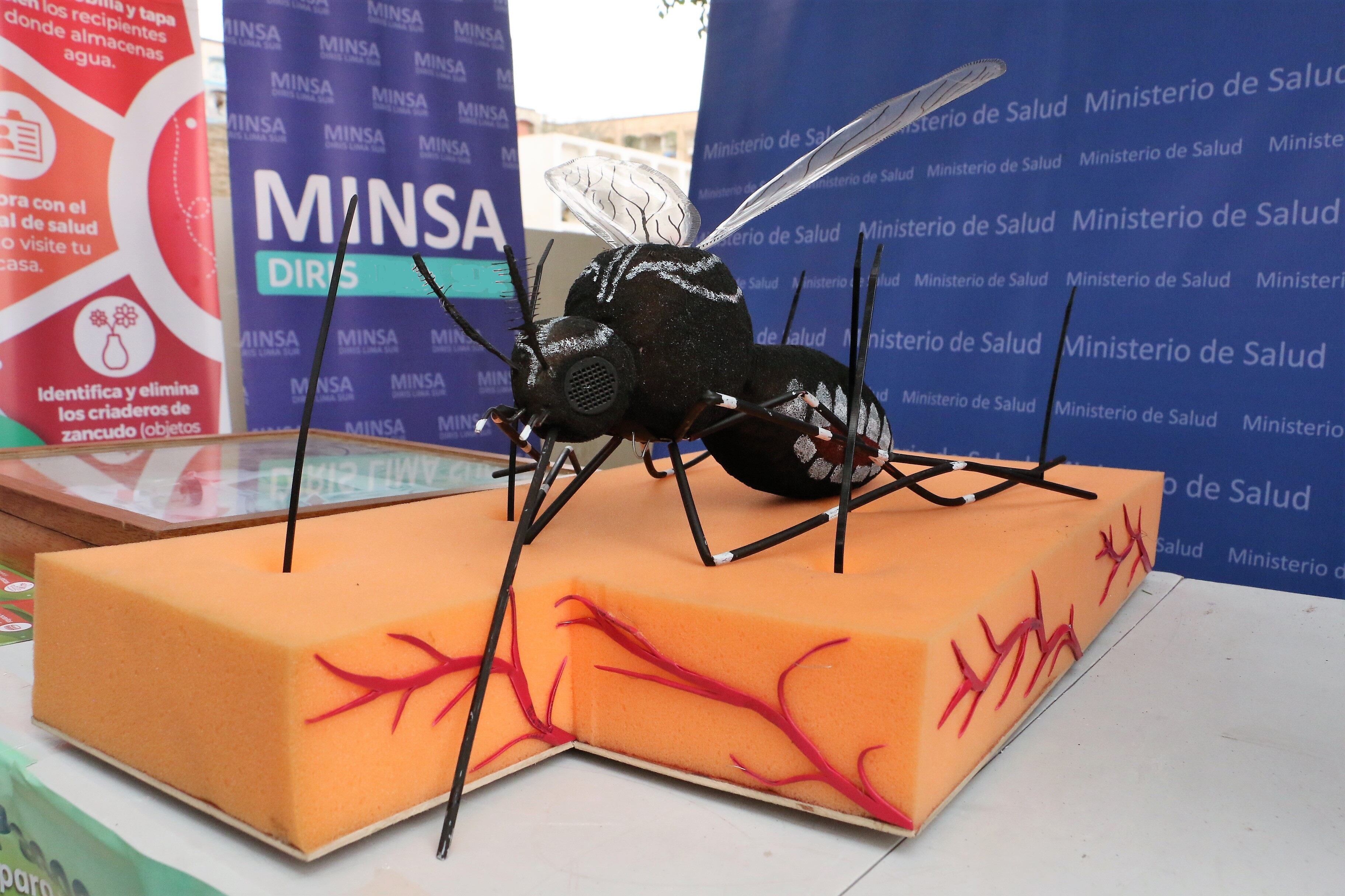 El secretario del Colegio Médico de Piura, Julio Barrena, señala que el nivel de complicaciones de los pacientes se asocia a este genotipo del serotipo 2 del dengue.