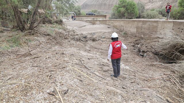 Agricultores  de Yura sufren daño de sus sembríos por precipitaciones