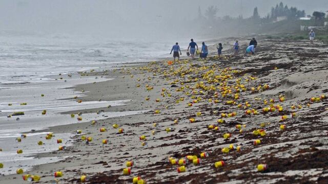 Centenares de latas de café aparecen en una playa de Florida