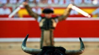 Proyecto de ley busca declarar las corridas de toros y peleas de gallos como patrimonio cultural