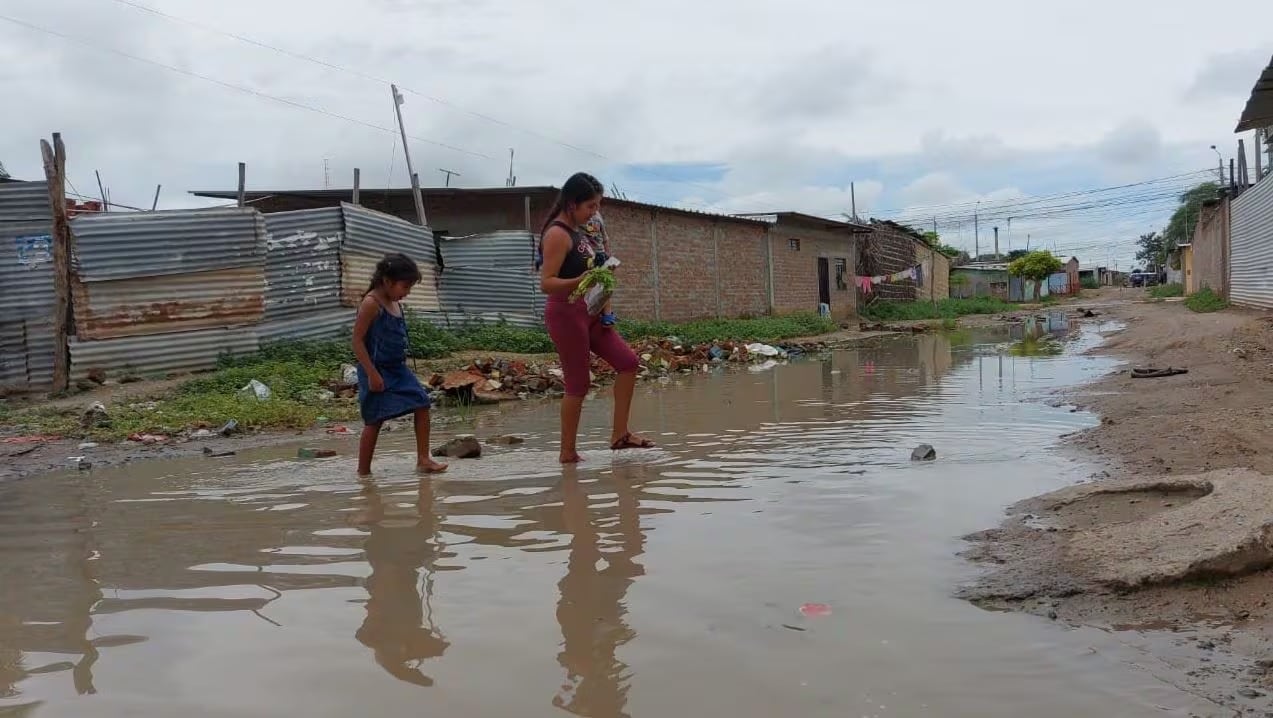 Aumentan los casos de leptospirosis.