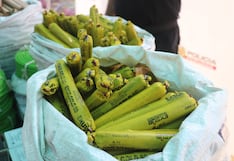 La Libertad: Adulto y menor caen con más de 3 mil dinamitas