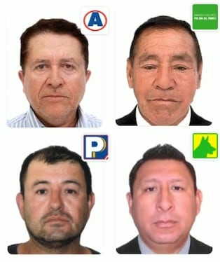 Organizaciones políticas inscritas para las elecciones en la provincia de Caravelí, Arequipa. Foto: Composición GEC/JNE.