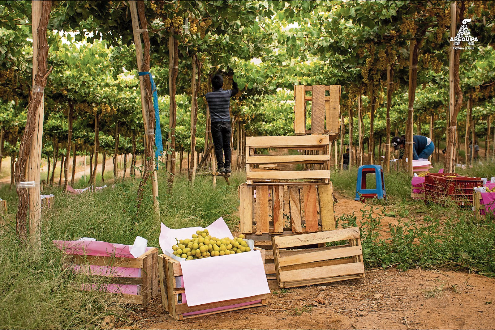 El paisaje es parte del atractivo de la provincia de Castilla. Foto: Gobierno Regional de Arequipa.