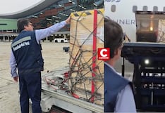 Elecciones 2026: ONPE recibirá en los próximos días todo el material electoral procedente del extranjero