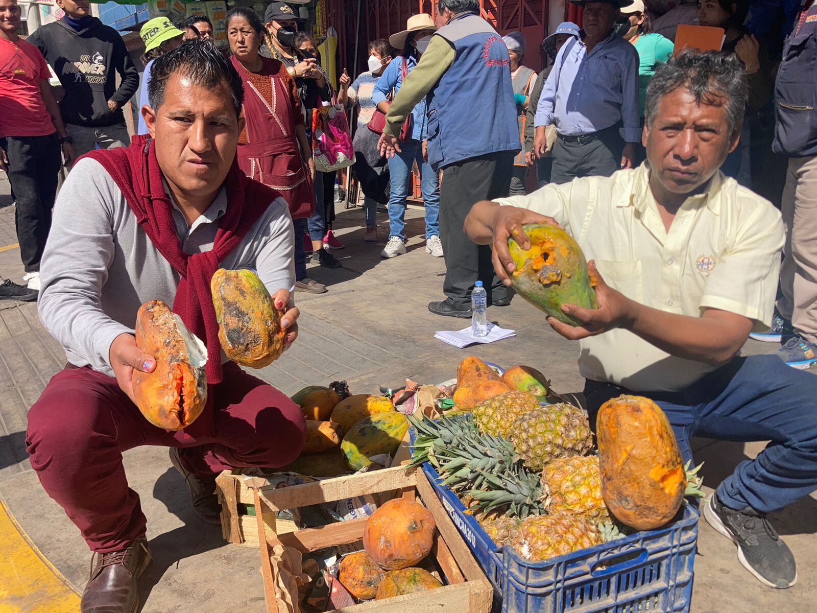 Toneladas de fruta están a punto de malograrse (Foto: GEC)
