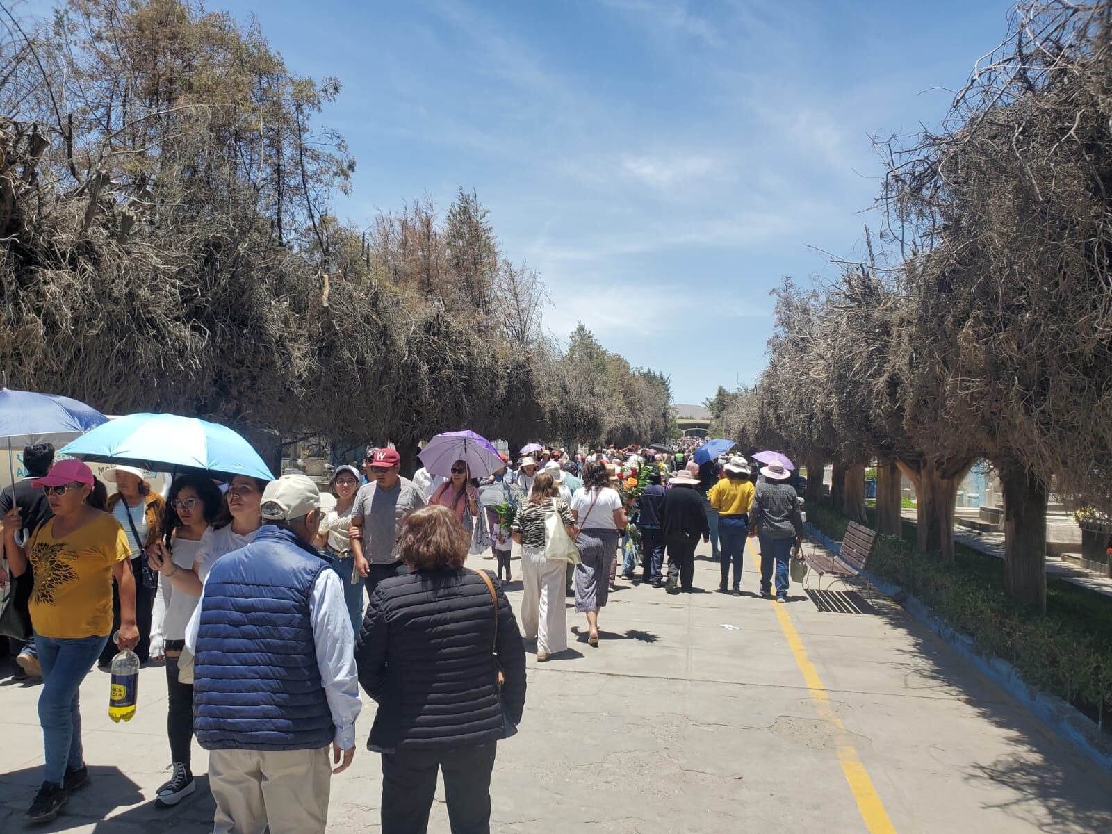 El horario de atención es desde las 8:00 horas hasta las 18 horas (Foto: Dany La Torre)