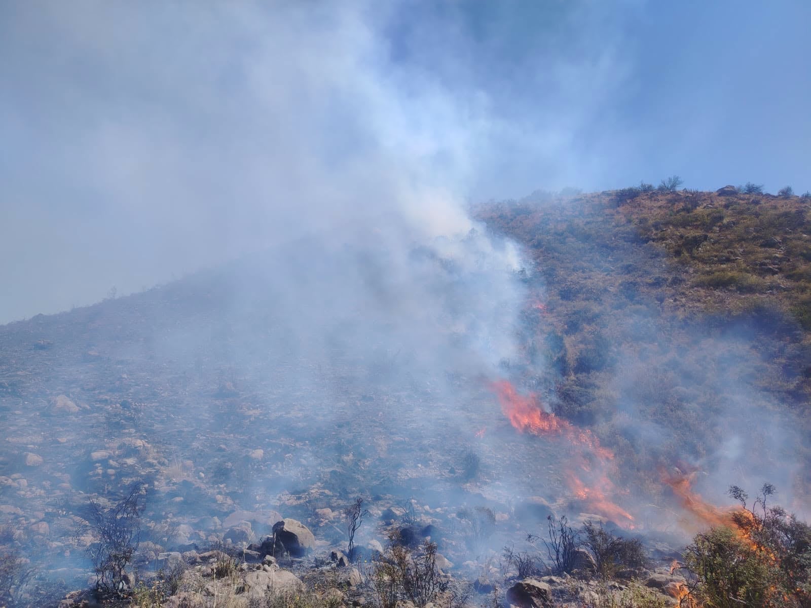 Incendio forestal afecta el distrito de Pocsi en Arequipa (Foto: PNP)