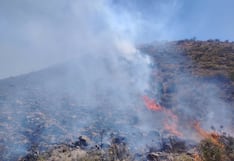 Incendio forestal afecta el distrito de Pocsi en Arequipa