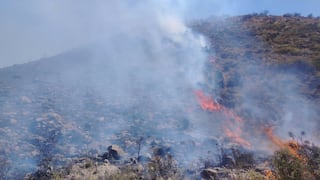 Incendio forestal afecta el distrito de Pocsi en Arequipa