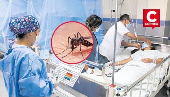 Perú enfrenta un aumento de transmisiones de dengue.