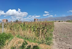 Heladas dañan cultivos y aumentan casos de infecciones respiratorias en Junín