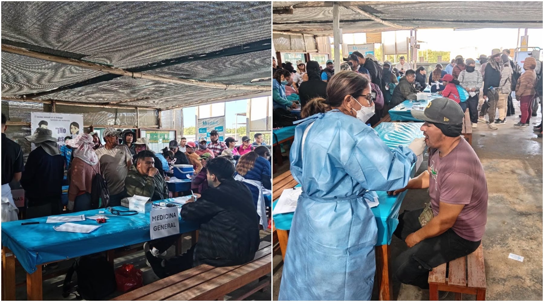 Nasca: campaña de salud lleva los servicios médicos al mismo centro de trabajo en el fundo Guilli